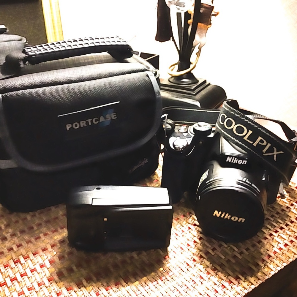 Nikon COOLPIX P 530,  42X wide optical. Zoom 180mm